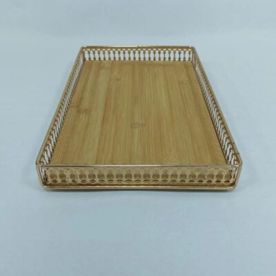 food serving tray-2